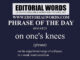 Phrase of the Day (on one's knees)-08MAR23