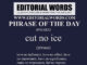 Phrase of the Day (cut no ice)-09MAR23
