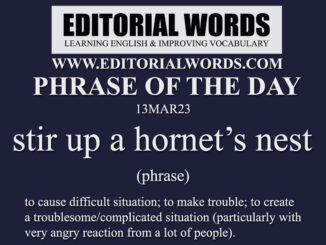 Phrase of the Day (stir up a hornet’s nest)-13MAR23