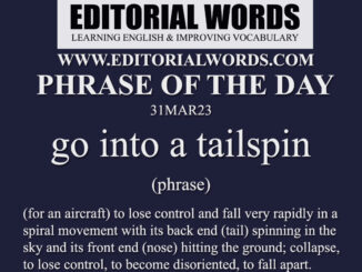 Phrase of the Day (go into a tailspin)-31MAR23