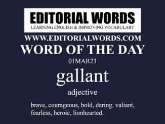 Word of the Day (gallant)-01MAR23