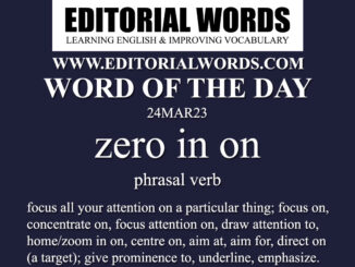 Word of the Day (zero in on)-24MAR23