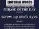 Phrase of the Day (screw up one's eyes)-18MAY23