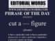 Phrase of the Day (cut a — figure)-19MAY23