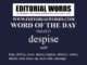 Word of the Day (despise)-19MAY23