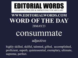 Word of the Day (consummate)-28MAY23