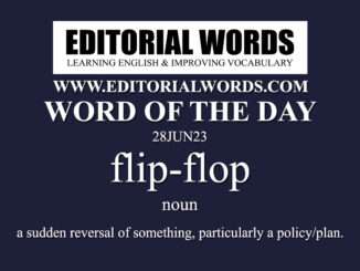 Word of the Day (flip-flop)-28JUN23