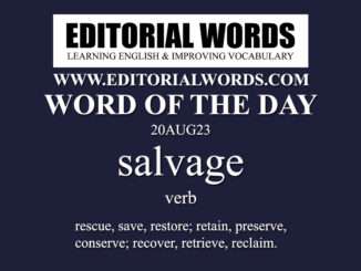 Word of the Day (salvage)-20AUG23