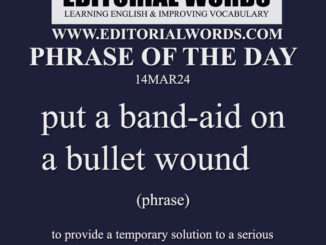 Phrase of the Day (put a band-aid on a bullet wound)-14MAR24