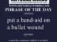 Phrase of the Day (put a band-aid on a bullet wound)-14MAR24