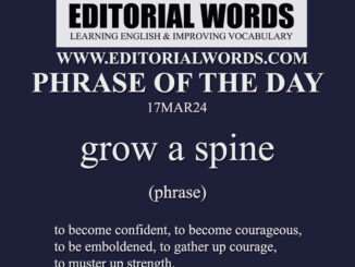 Phrase of the Day (grow a spine)-17MAR24