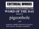 Word of the Day (pigeonhole)-08MAR24