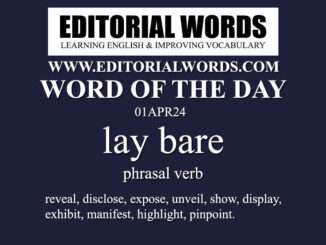 Word of the Day (lay bare)-01APR24