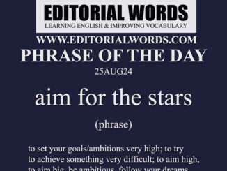Phrase of the Day (aim for the stars)-25AUG24