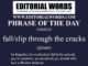 Phrase of the Day (fall/slip through the cracks)-25MAY25