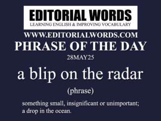 Phrase of the Day (a blip on the radar)-28MAY25