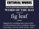 Word of the Day (fig leaf)-14MAY25