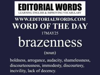 Word of the Day (brazenness)-17MAY25