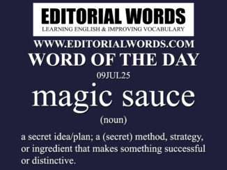 Word of the Day (magic sauce)-09JUL25