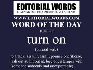 Word of the Day (turn on)-10JUL25