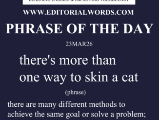 Phrase of the Day (there's more than one way to skin a cat)-23MAR26