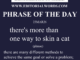 Phrase of the Day (there's more than one way to skin a cat)-23MAR26