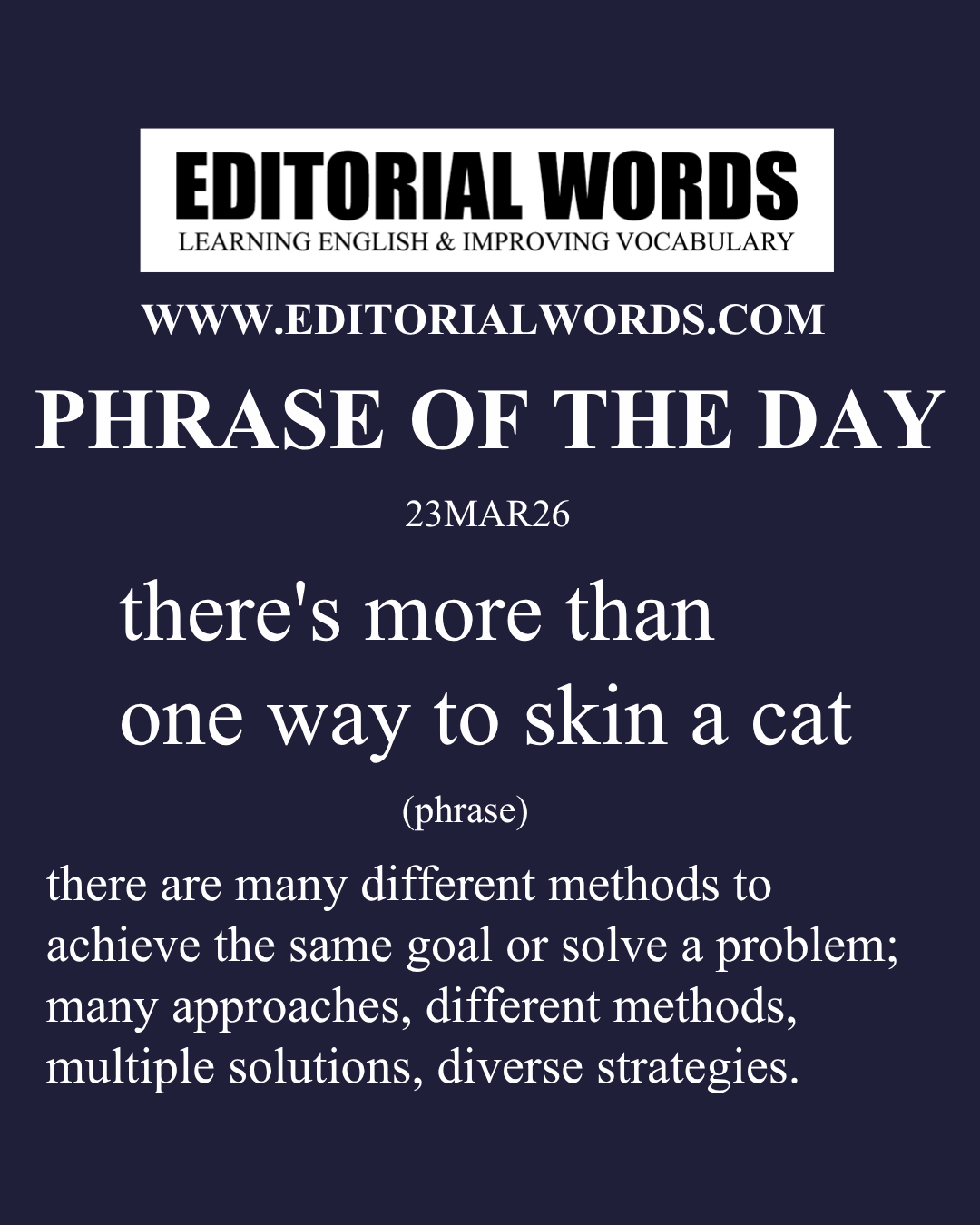 Phrase of the Day (there's more than one way to skin a cat)-23MAR26