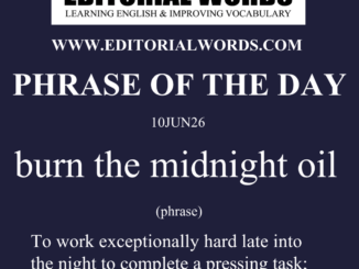 Phrase of the Day (burn the midnight oil)-10JUN26